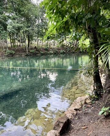 🌿 *12 Acres of Pure Belizean Paradise — Citrus Orchard (a small one), Pasture, Hills & Seasonal Creek!* 🌿   *Off-Grid Beauty Just Minutes from the Scenic Hummingbird Highway.
