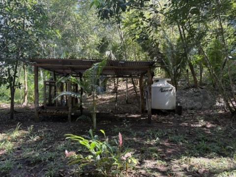 🌿 *12 Acres of Pure Belizean Paradise — Citrus Orchard (a small one), Pasture, Hills & Seasonal Creek!* 🌿   *Off-Grid Beauty Just Minutes from the Scenic Hummingbird Highway.