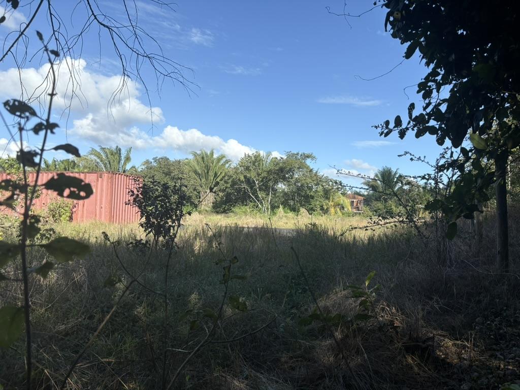 Almost 40 acres of beautiful land along Belize River on the Young Gal road, 15 minutes from the George Price Highway