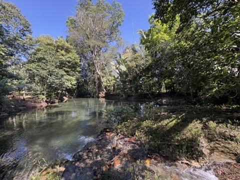 🌿 *12 Acres of Pure Belizean Paradise — Citrus Orchard (a small one), Pasture, Hills & Seasonal Creek!* 🌿   *Off-Grid Beauty Just Minutes from the Scenic Hummingbird Highway.