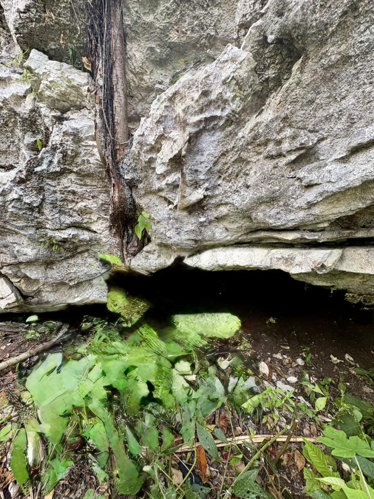 28 acres at the entrance to Agua Viva, minute from Hummingbird highway, With creek and cave