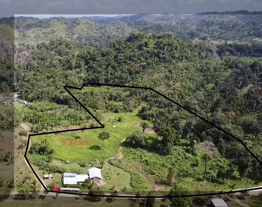 9.37-Acre Homestead Farm in a Prime Location, Popular growing off the grid community Agua Viva, Cayo, Belize.