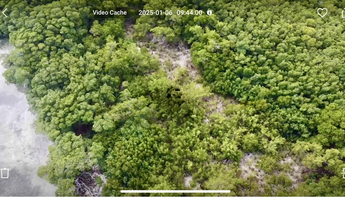Seafront 1 acre lot on Southern Long Caye.