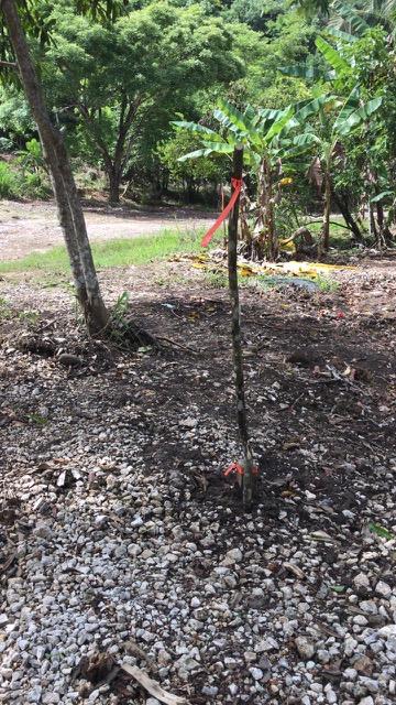 20 Acres Hummingbird Highway frontage, with Electricity and water, 6 miles away from Belmopan