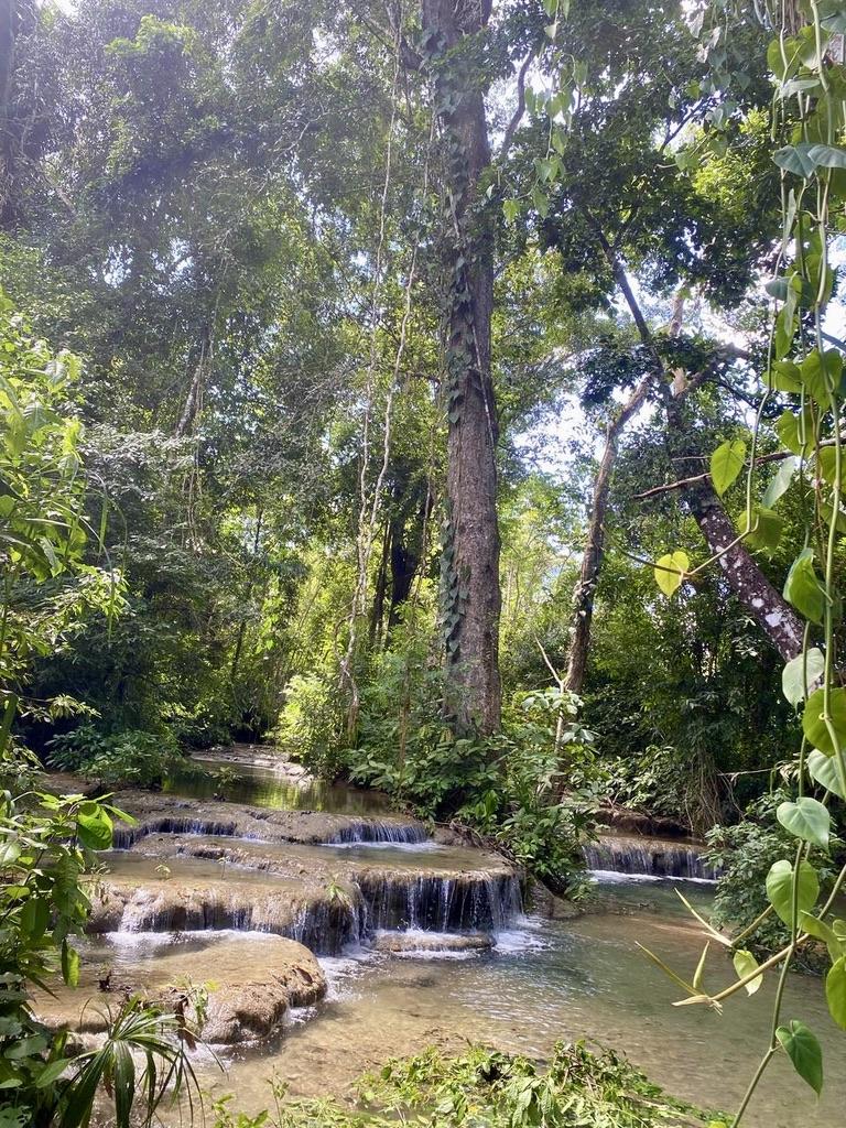 9.37-Acre Homestead Farm in a Prime Location, Popular growing off the grid community Agua Viva, Cayo, Belize.