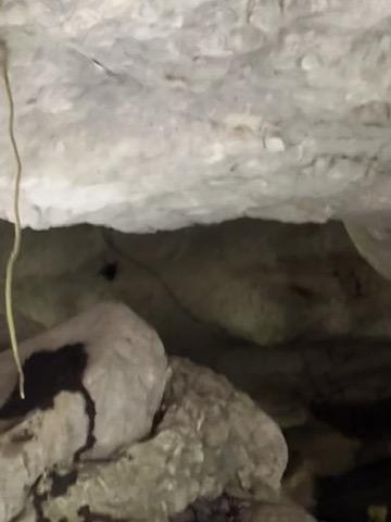 28 acres at the entrance to Agua Viva, minute from Hummingbird highway, With creek and cave