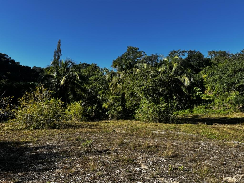 20 Acres Hummingbird Highway frontage, with Electricity and water, 6 miles away from Belmopan